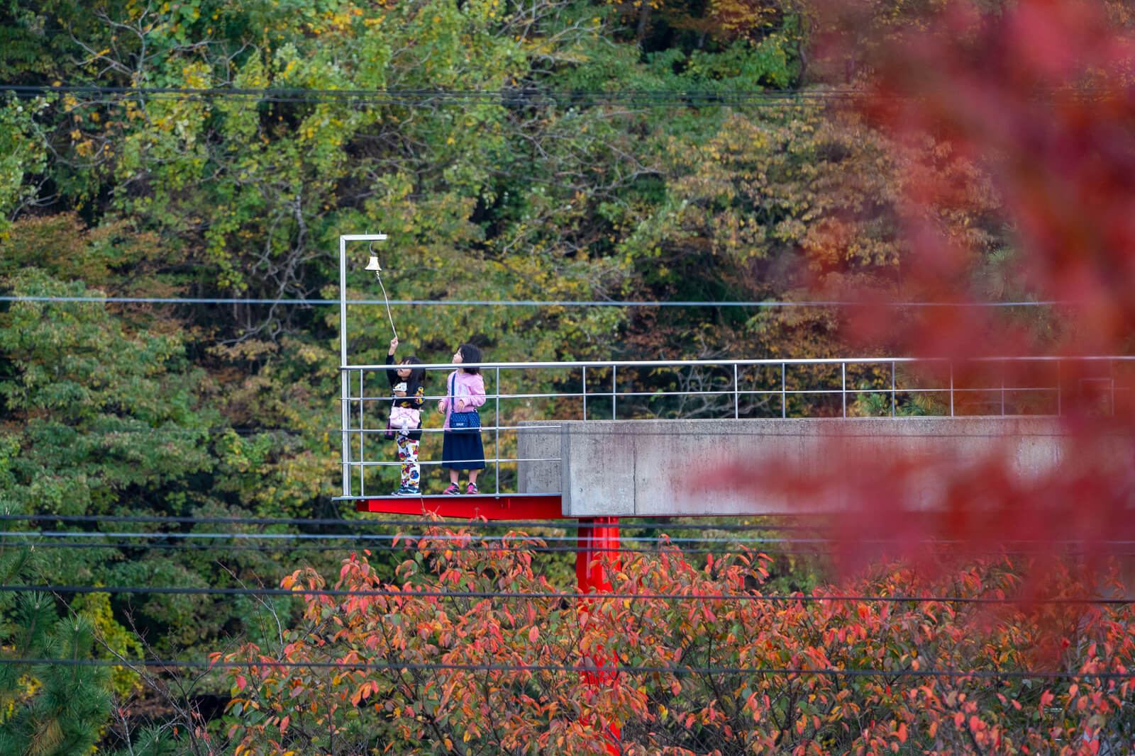 写真 庄川ゆずまつり In 庄川水記念公園 Vr 北陸