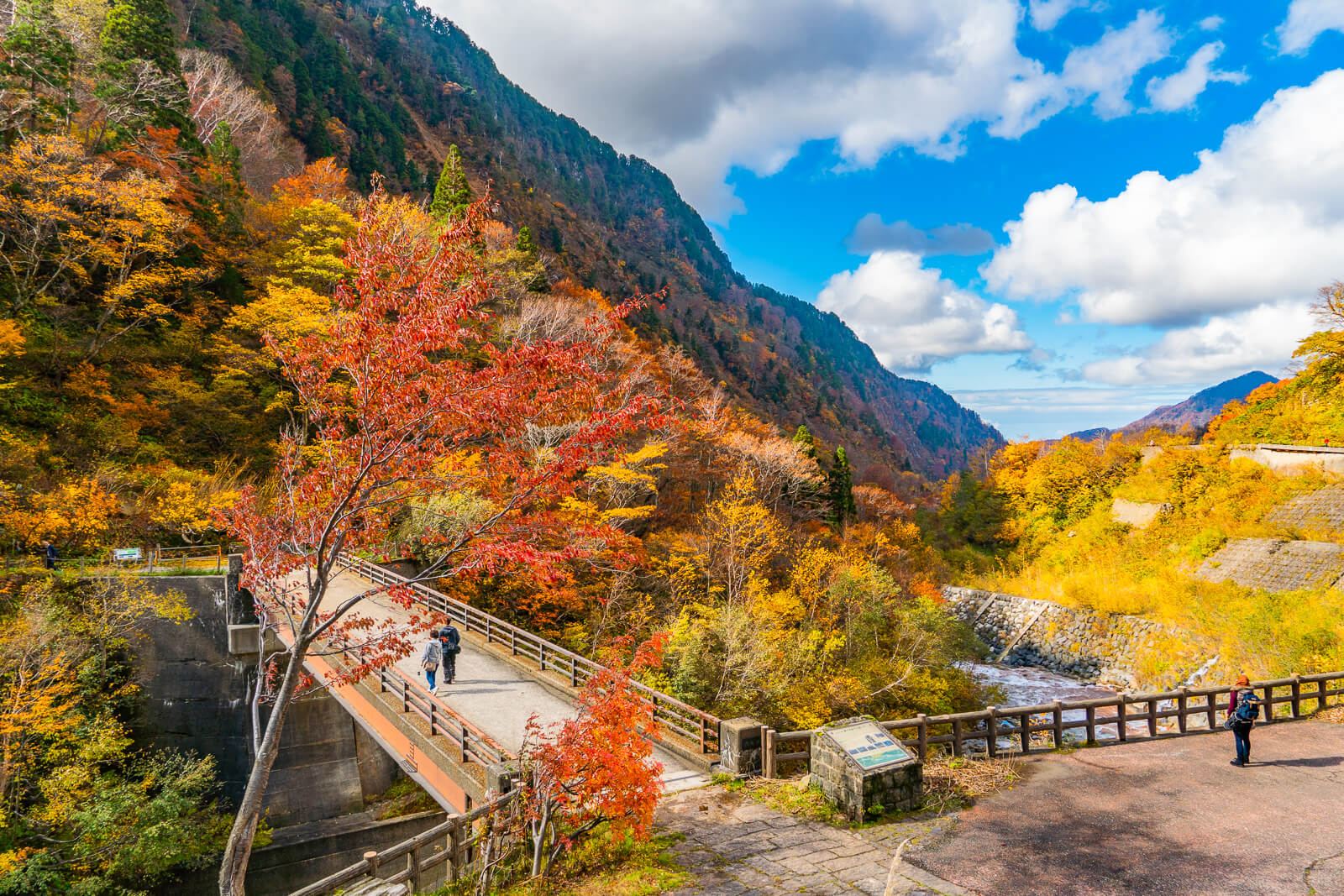 写真】落差日本一！称名滝の紅葉2018|VR:北陸