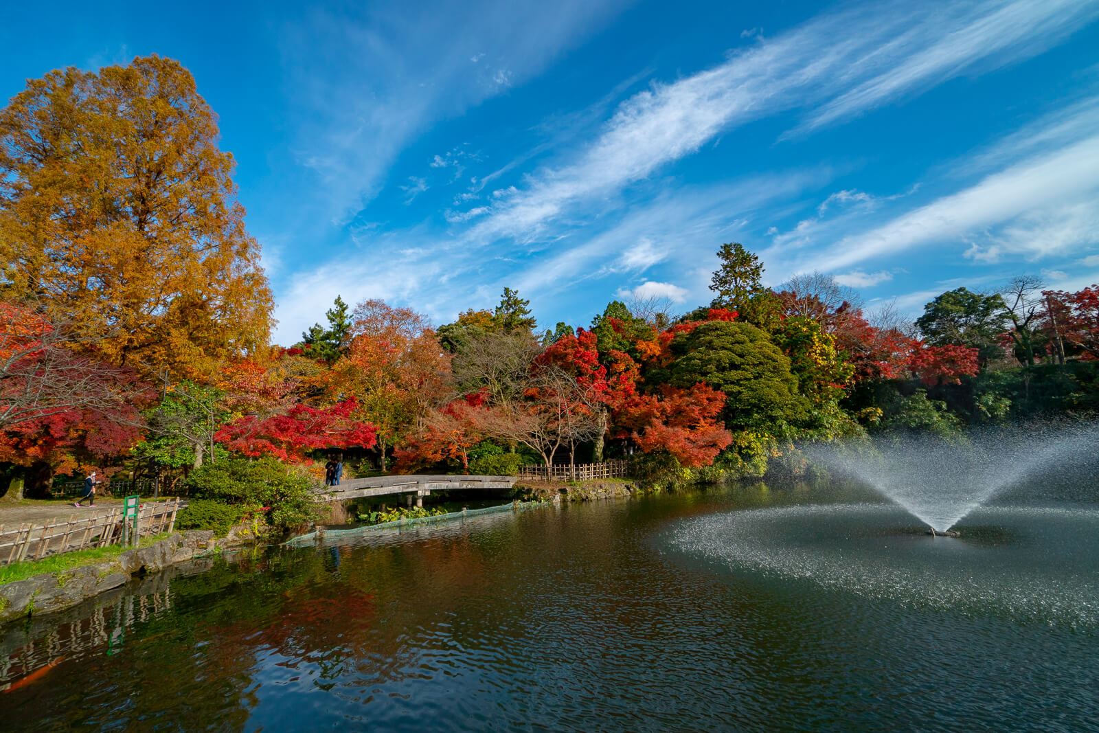 写真 富山県10大紅葉スポット高岡古城公園 Vr 北陸