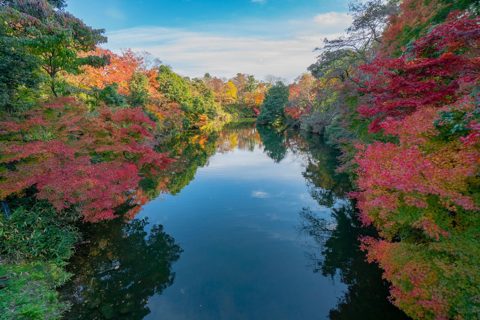 写真 富山県10大紅葉スポット高岡古城公園 Vr 北陸