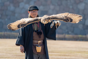 放鷹術 in 金沢城 & 超快晴の金沢駅鼓門（2019/2/24）