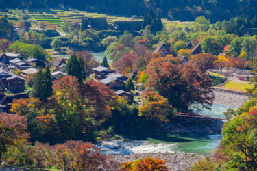 世界遺産岐阜県白川郷合掌造り集落の紅葉2019
