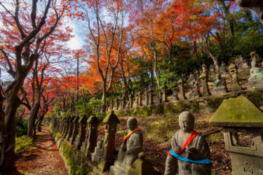 富山市民俗民芸村、長慶寺五百羅漢の紅葉2019