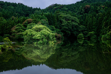 夏の蛇ヶ池 in 石川県中能登町2020