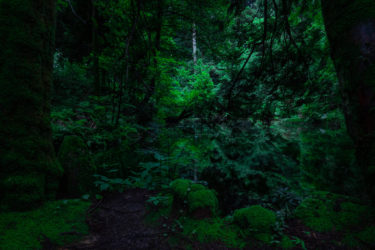 夏の霊泉「御手洗池」 in 石川県七尾市2020