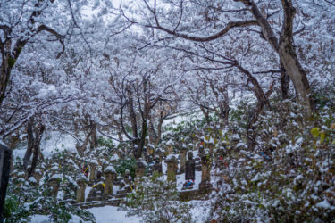 富山市民俗民芸村、長慶寺五百羅漢の雪景色2020