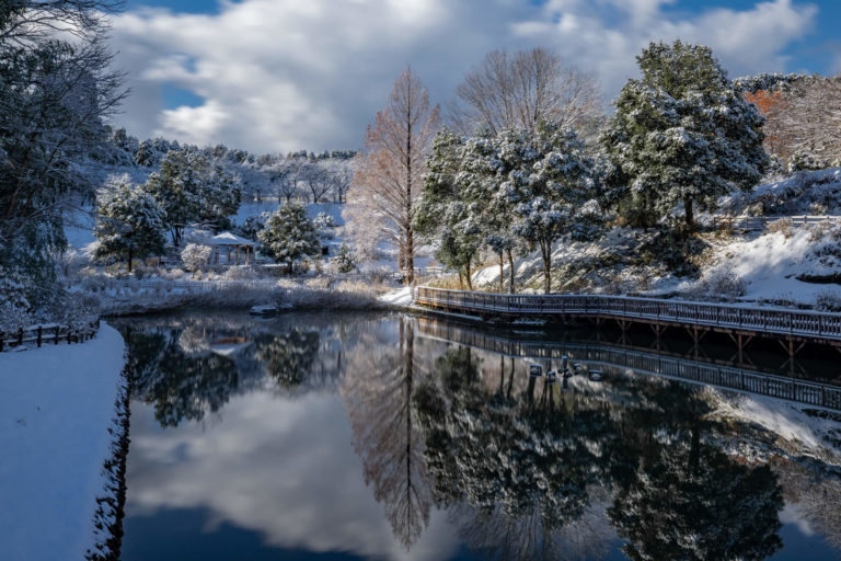 雪景色様 写真】氷見市ふれあいの森公園の雪景色2020|VR:北陸