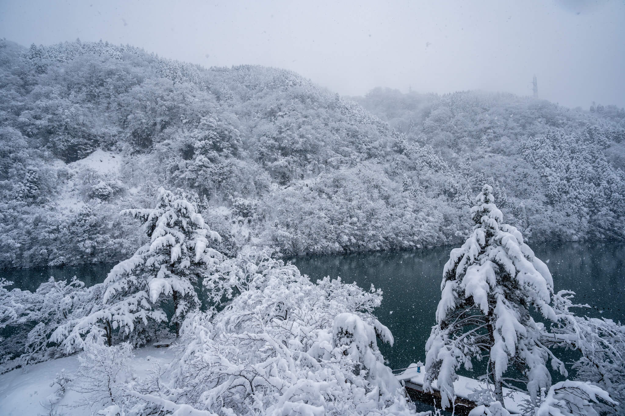 写真 砺波市庄川水記念公園の雪景色 Vr 北陸