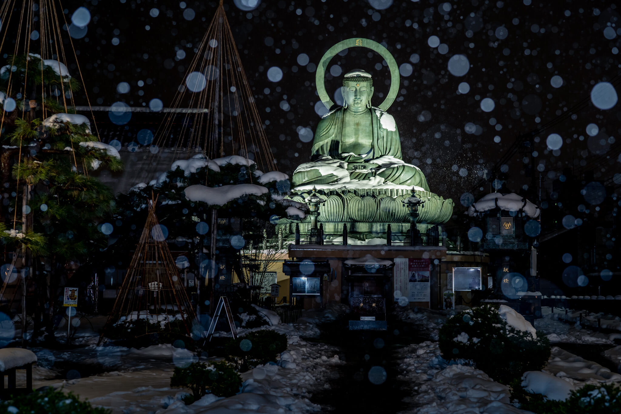 写真 21年射水神社初詣 大雪後の高岡大仏と古城公園 Vr 北陸