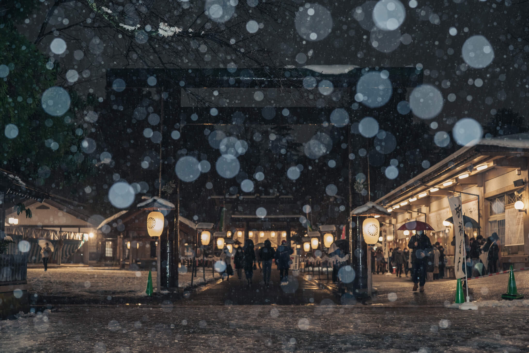 写真 21年射水神社初詣 大雪後の高岡大仏と古城公園 Vr 北陸