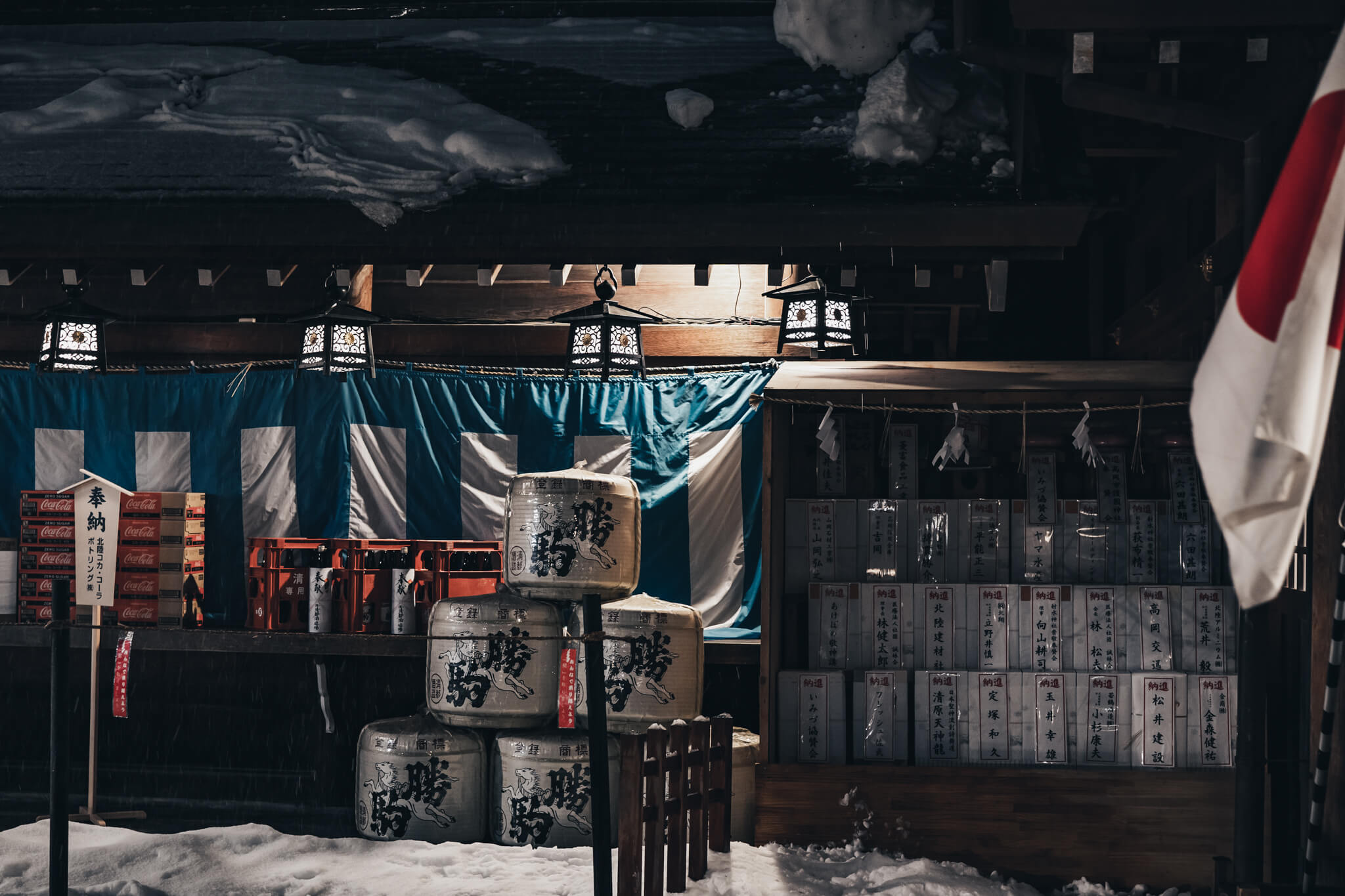 写真 21年射水神社初詣 大雪後の高岡大仏と古城公園 Vr 北陸