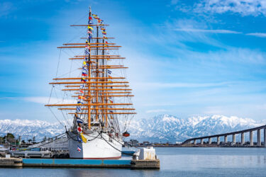 立山連峰バックの帆船海王丸の満船飾 in  海王丸パーク（2021/2/14）