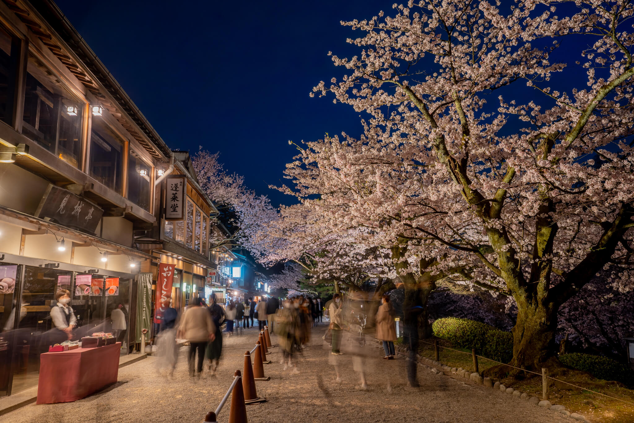 写真 金沢城公園の夜桜ライトアップ21 Vr 北陸