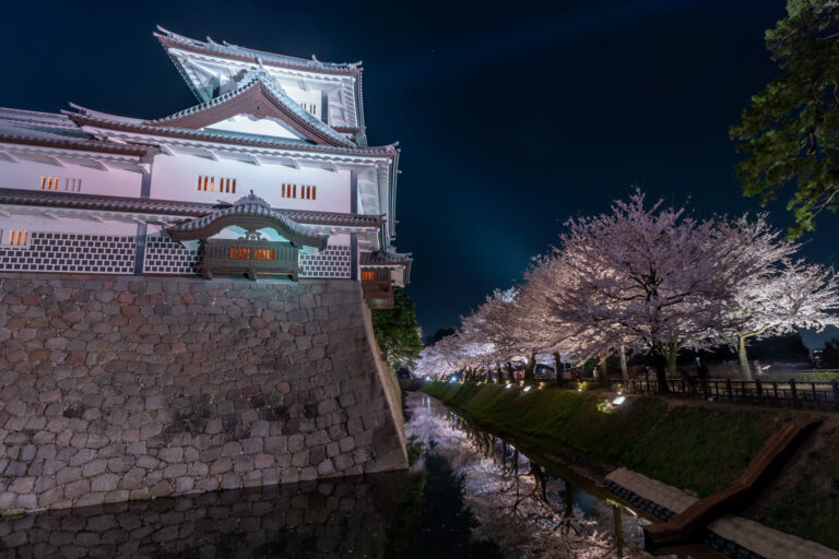 写真 金沢城公園の夜桜ライトアップ21 Vr 北陸