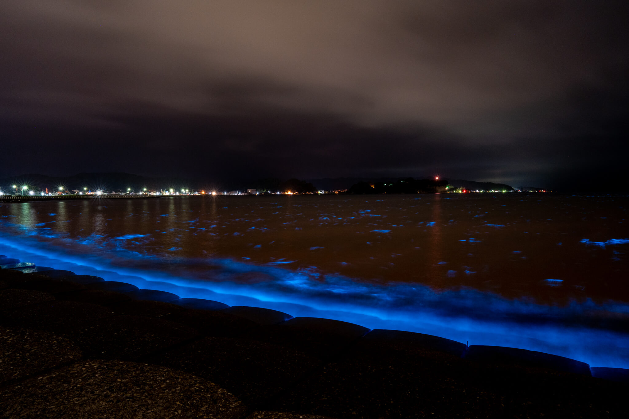 写真 氷見市の海が青く光る 夜光虫による幻想的光景21 Vr 北陸