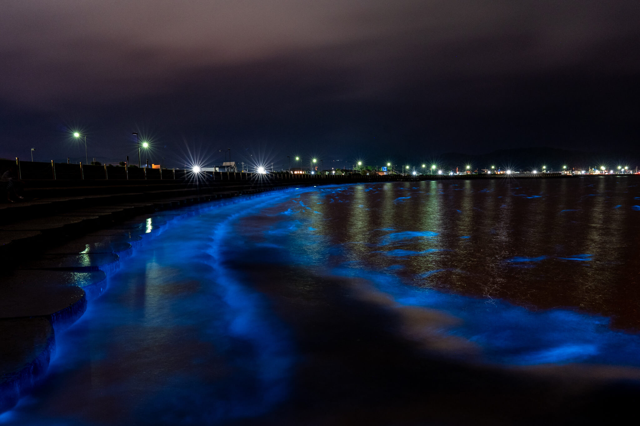 写真】氷見市の海が青く光る！夜光虫による幻想的光景2021|VR:北陸