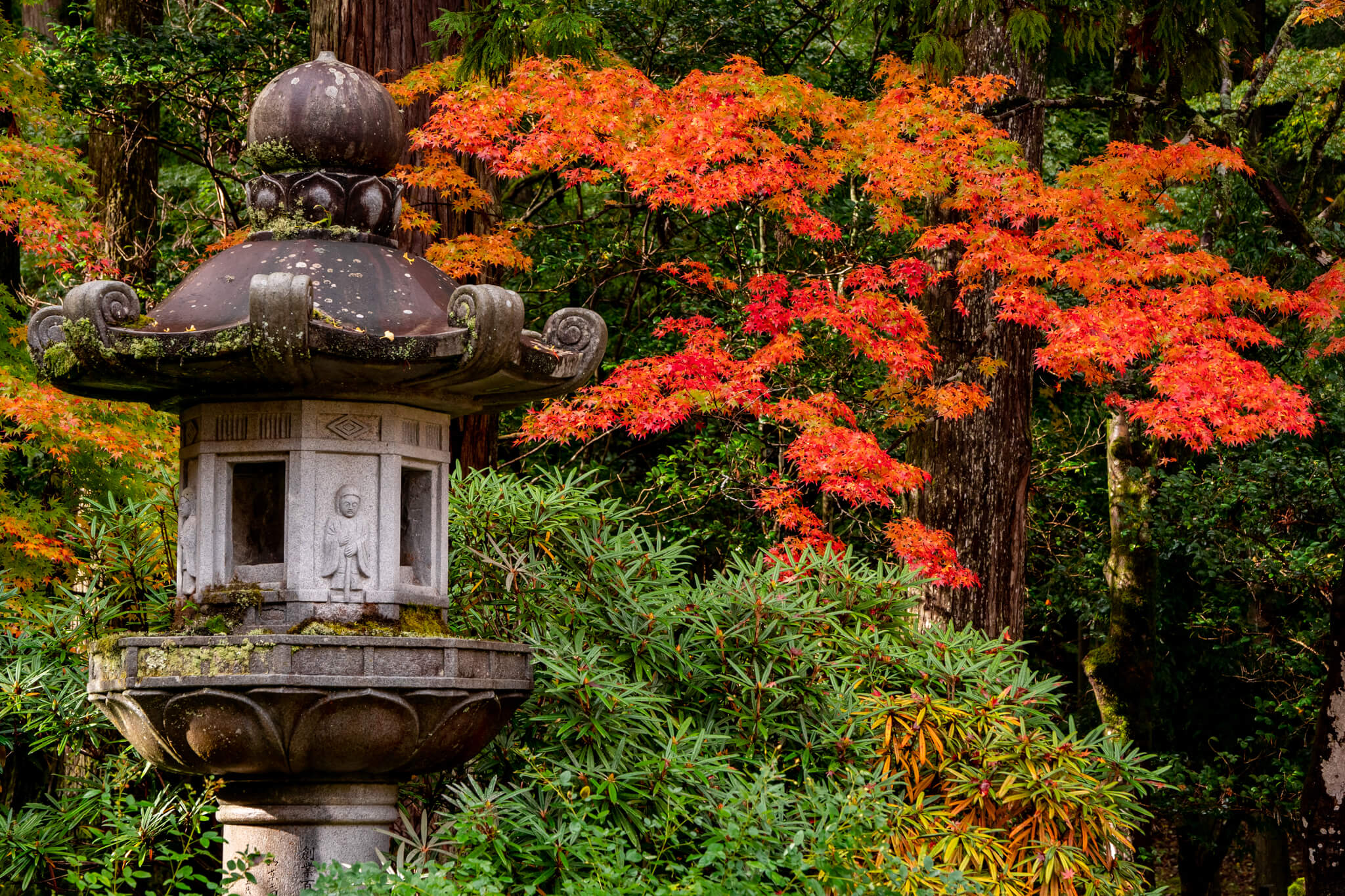 写真】荘厳！石川県那谷寺の雨紅葉2021|VR:北陸