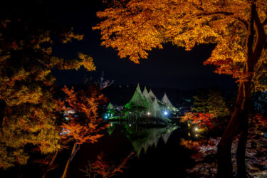 石川県特別名勝「兼六園」紅葉ライトアップ2021