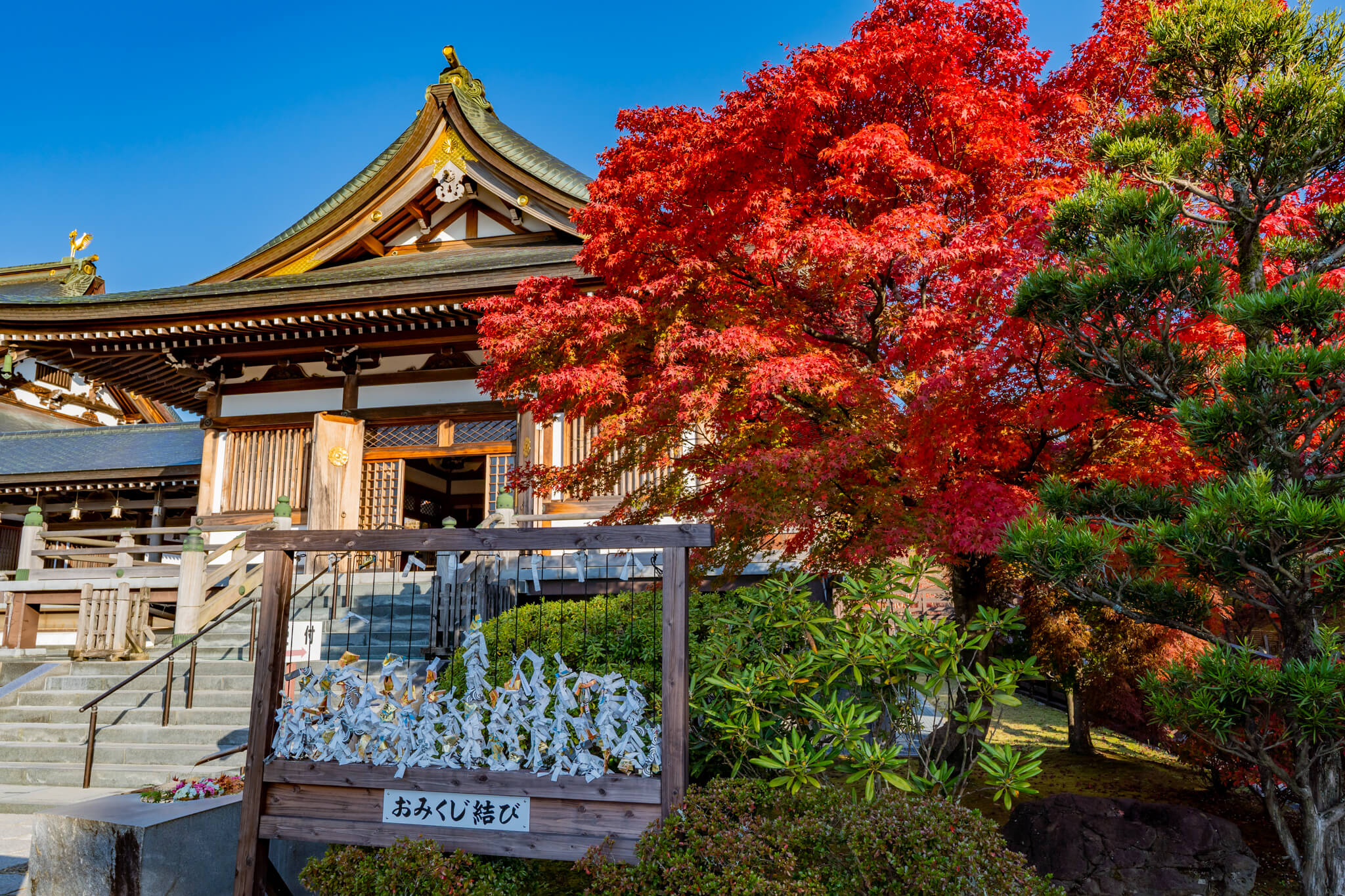 山部赤人（呉竹精昇堂） 写真】倶利迦羅不動寺西之坊鳳凰殿・山頂本堂の紅葉2022|VR:北陸