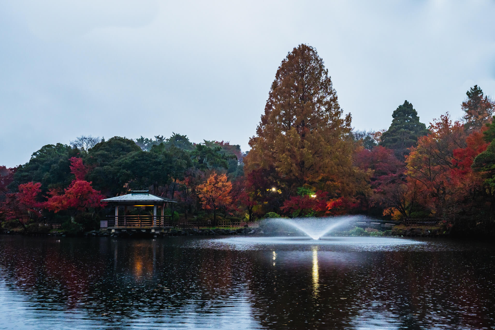 写真】富山県10大紅葉スポット高岡古城公園2018-2022|VR:北陸