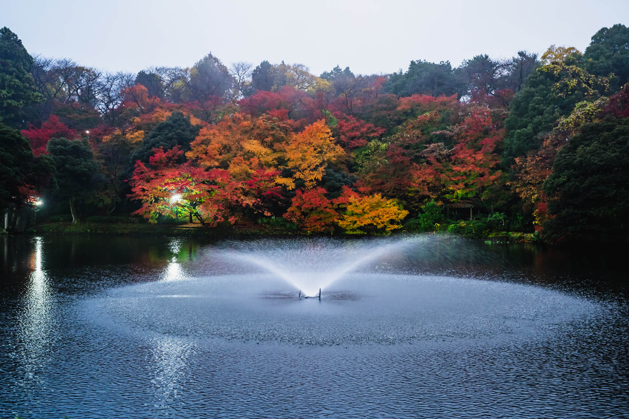 写真】富山県10大紅葉スポット高岡古城公園2018-2022|VR:北陸