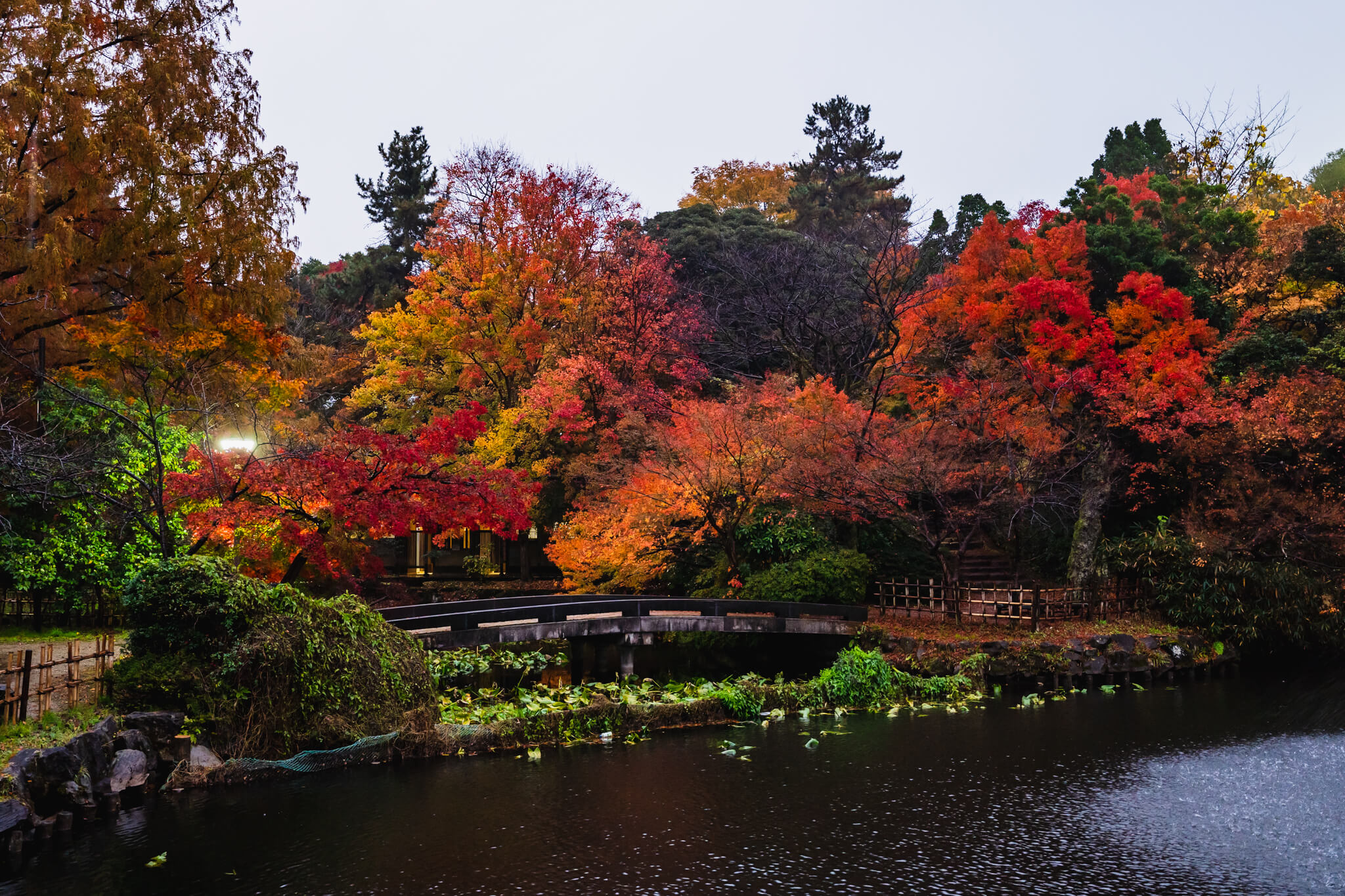 写真】富山県10大紅葉スポット高岡古城公園2018-2022|VR:北陸