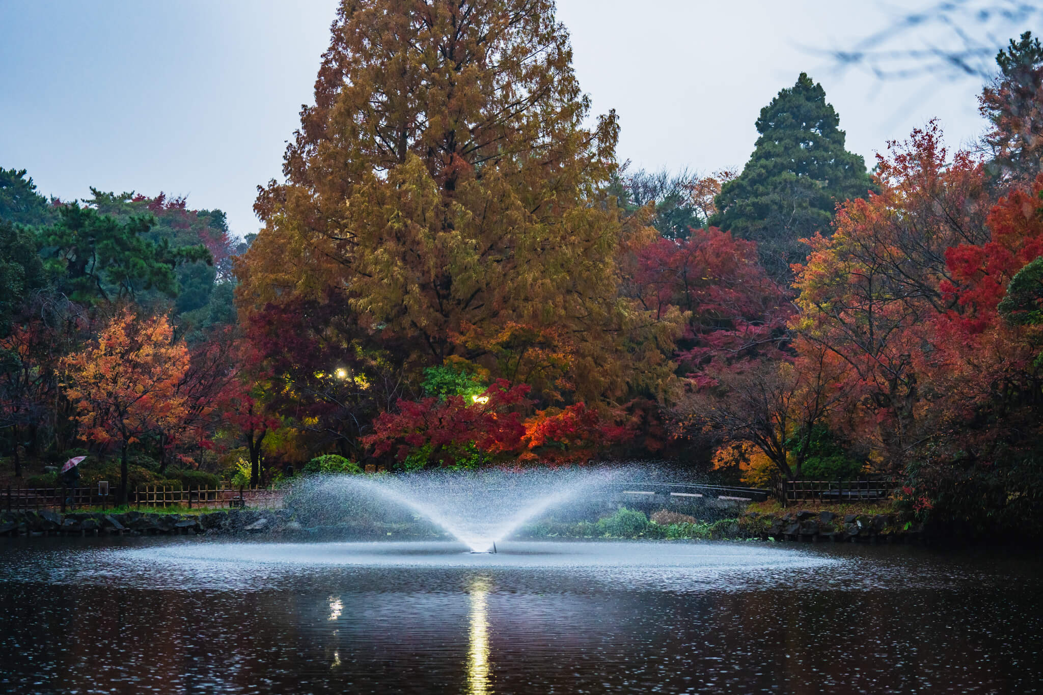 紅葉☆ 京の紅葉2018 智積院・秋色 : 花景色－K.W.C. PhotoBlog