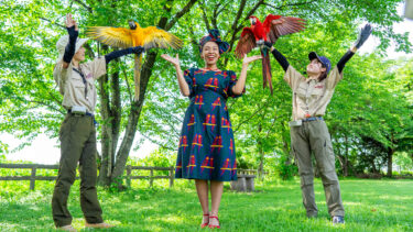 インコのフライトショー in 富山市ファミリーパーク（2023/6/18）