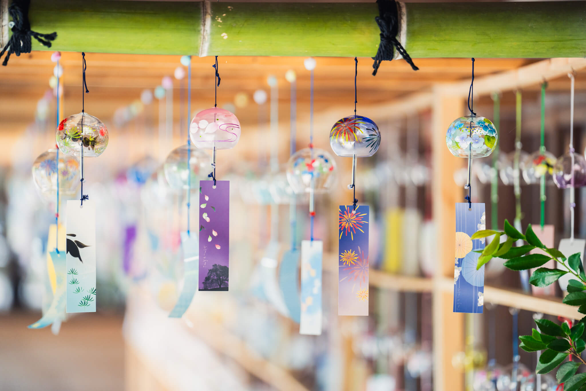 写真】射水市櫛田神社の風鈴トンネル2023|VR:北陸