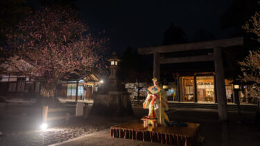 射水神社さくらまつり「みこかふぇ」(巫女舞奉納＆花嫁のれん)（2024/3/30）