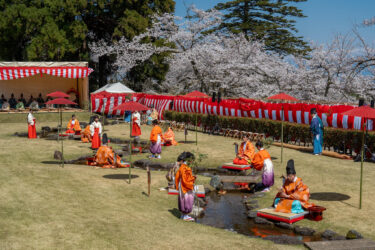 満開の桜の下で雅な歌遊び！第36回ふちゅう曲水の宴（2024/4/7）