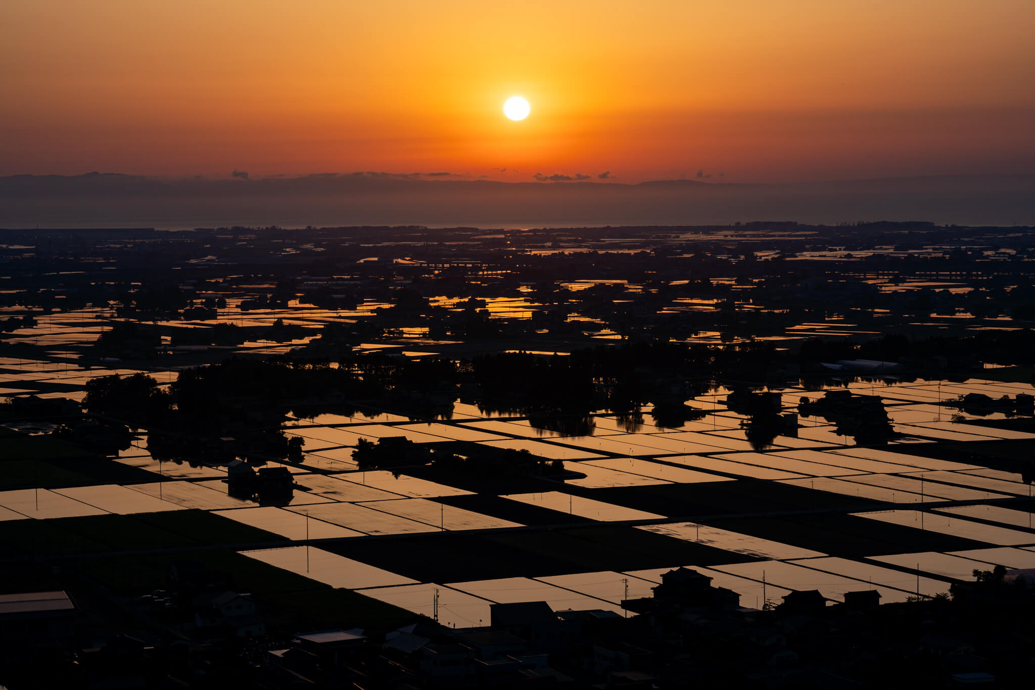 写真】入善町舟見城址から望む夕日に染まる黒部川扇状地の水田