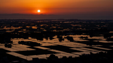 入善町舟見城址から望む夕日に染まる黒部川扇状地の水田2024