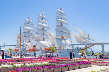 快晴の日の海の貴婦人「海王丸」総帆展帆 in 射水市海王丸パーク（2024/5/5）
