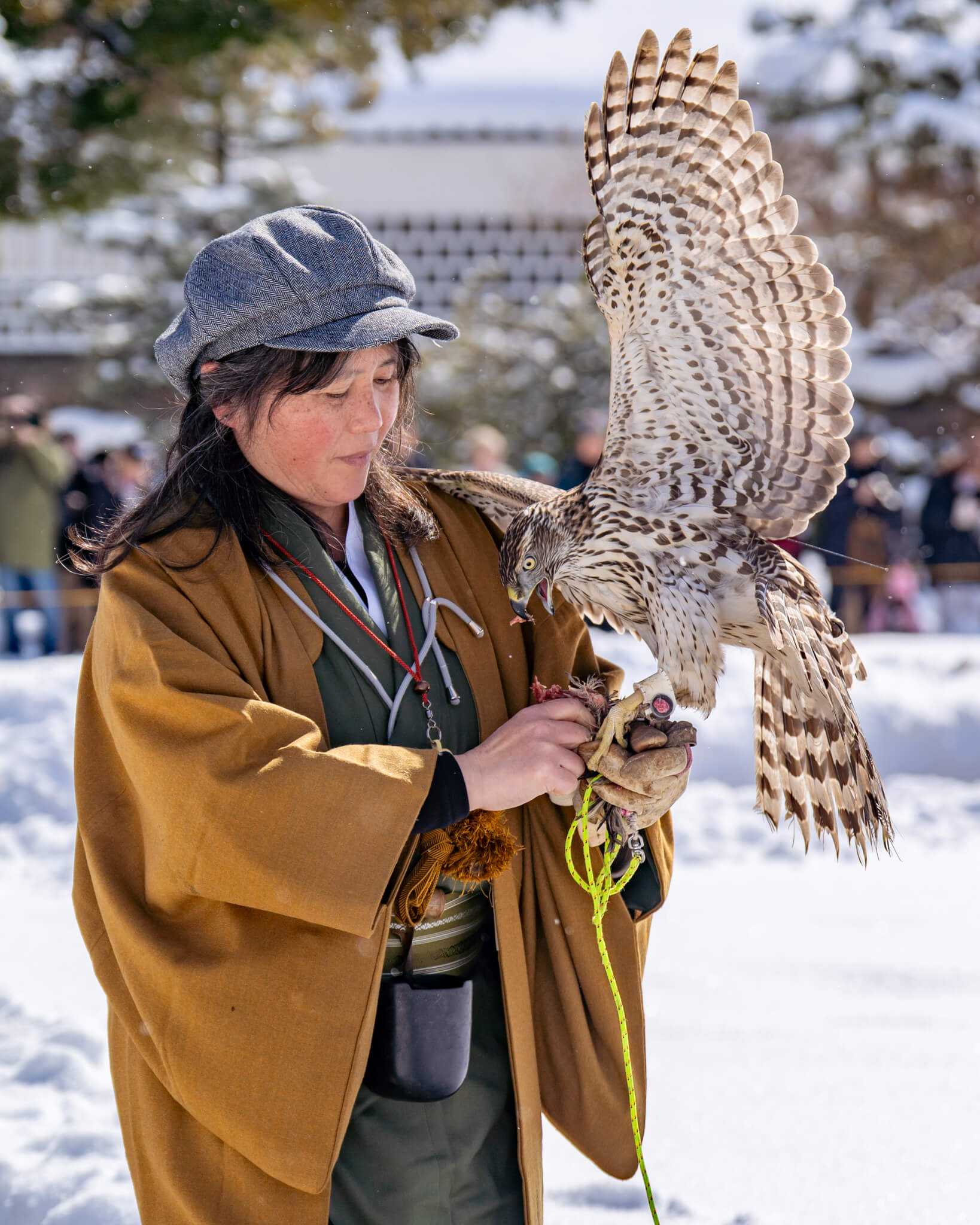 写真】～冬のおもてなし～鷹匠による放鷹術 in 金沢城公園（2025/2/23