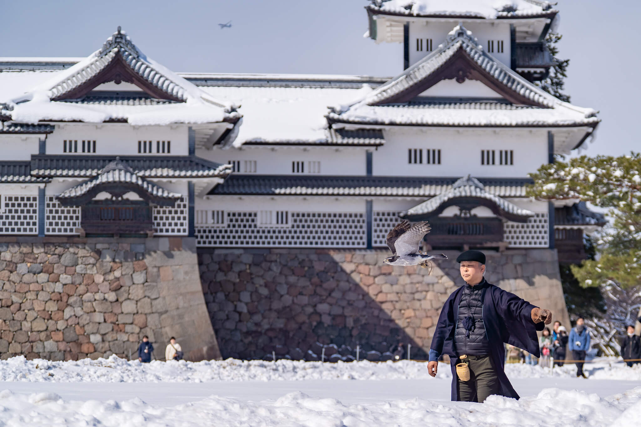 写真】～冬のおもてなし～鷹匠による放鷹術 in 金沢城公園（2025/2/23
