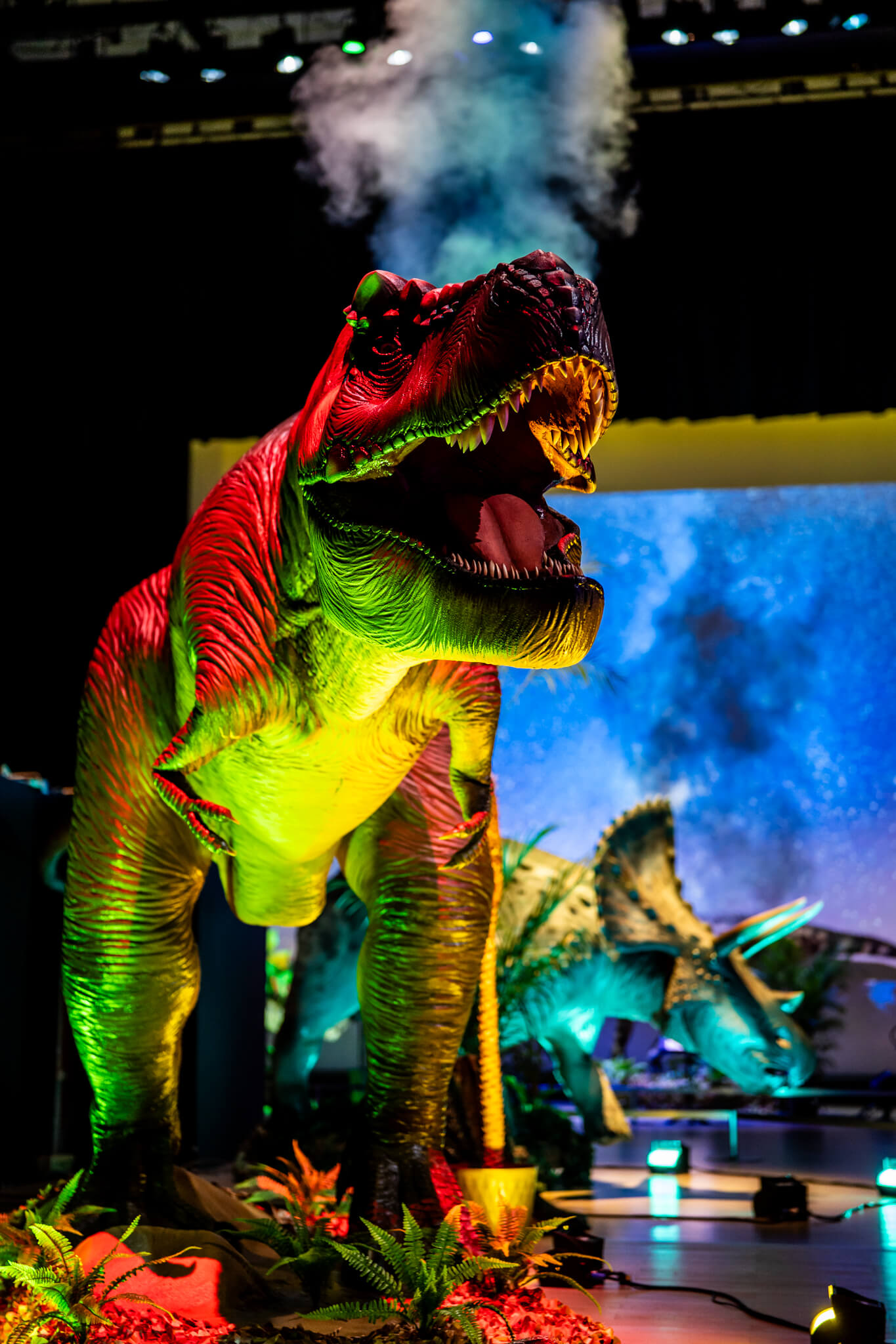 ❌恐竜大好き*.(๓´͈ ˘ `͈๓).*　世界最大の恐竜博2002 大恐竜博 (@daikyoryuhaku) • Instagram photos and videos