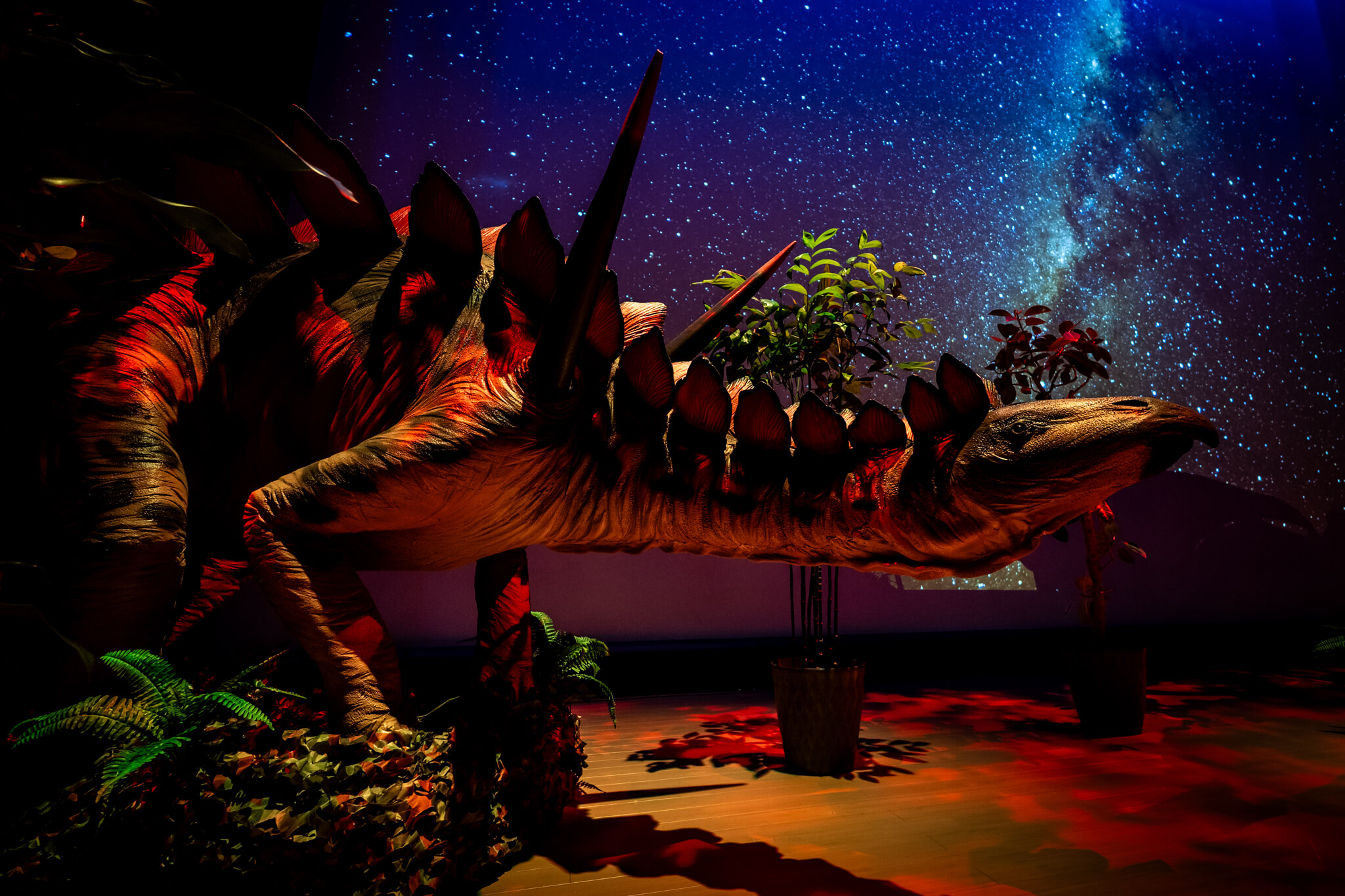 写真】氷見大恐竜博 in 氷見市芸術文化館（2025/7/25-8/20）|VR:北陸