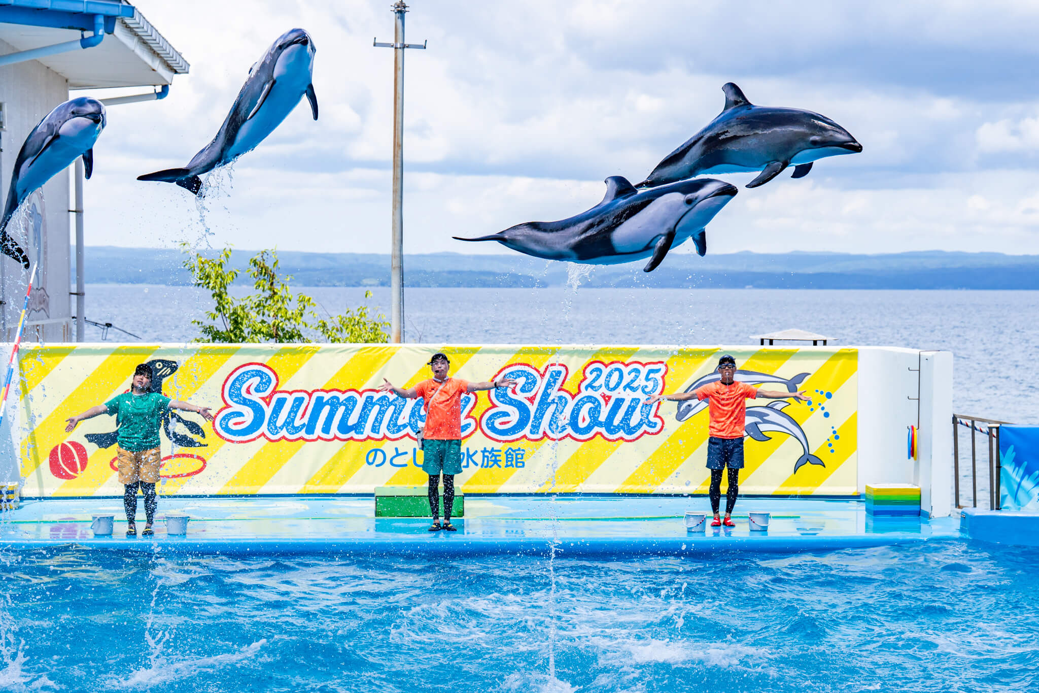 写真】のとじま水族館マーメイドショー・イルカショー（2025/8/3）|VR:北陸